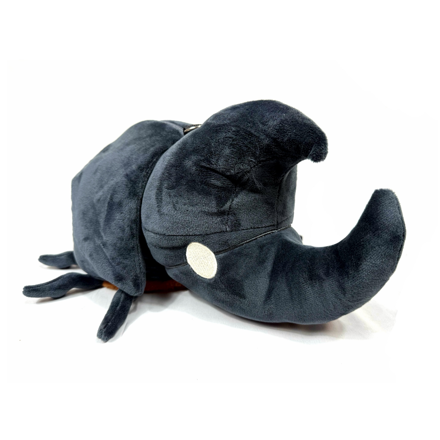 PRE-ORDER Coconut Beetle (ships in September)