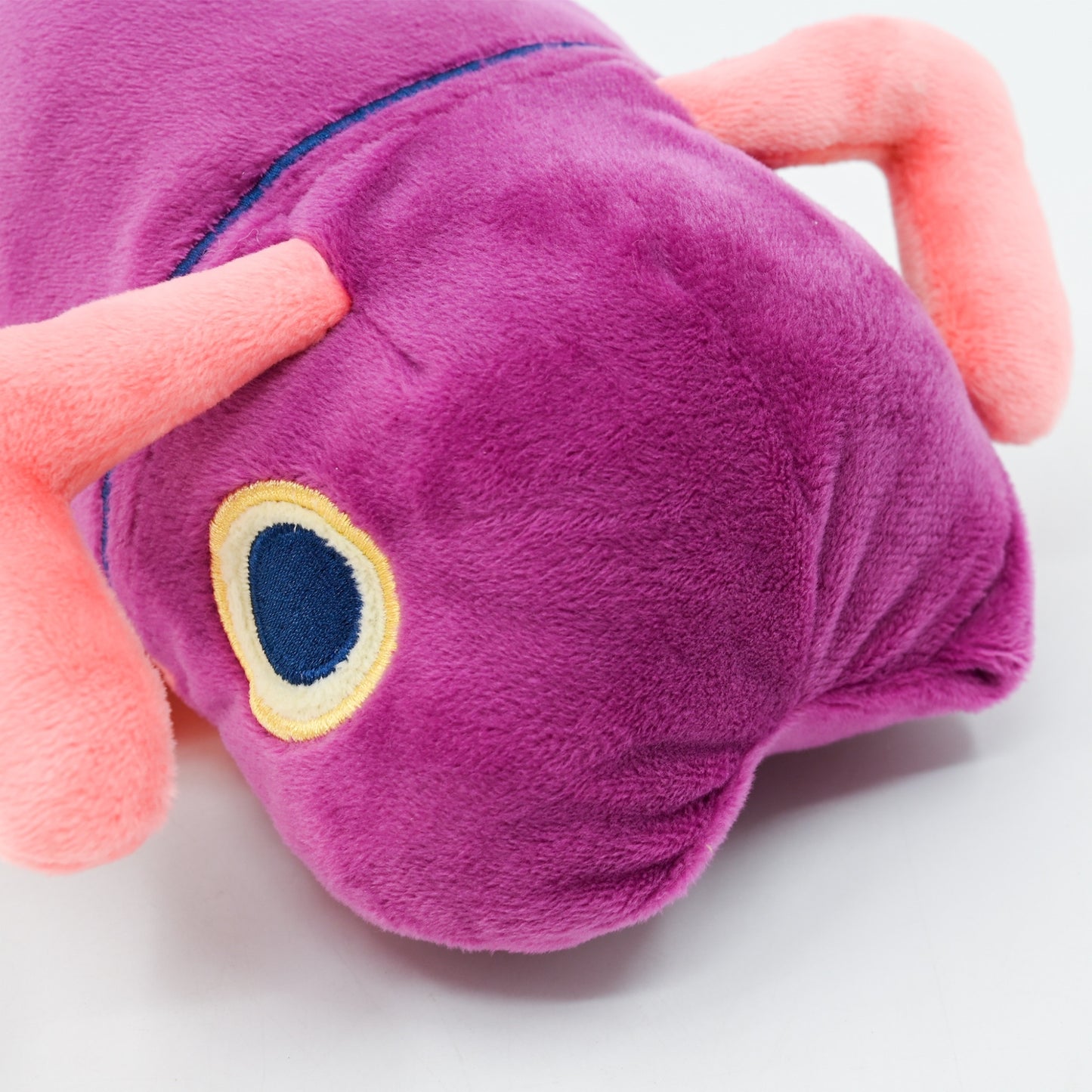 PRE-ORDER Giant Millipede