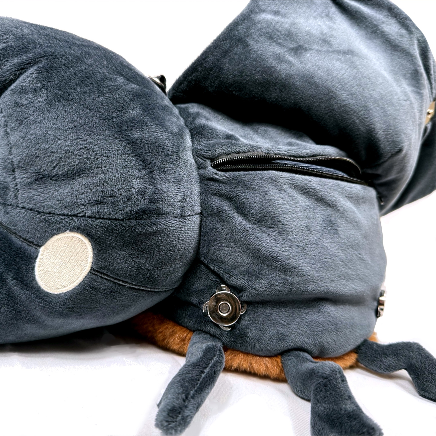 PRE-ORDER Coconut Beetle (ships in September)
