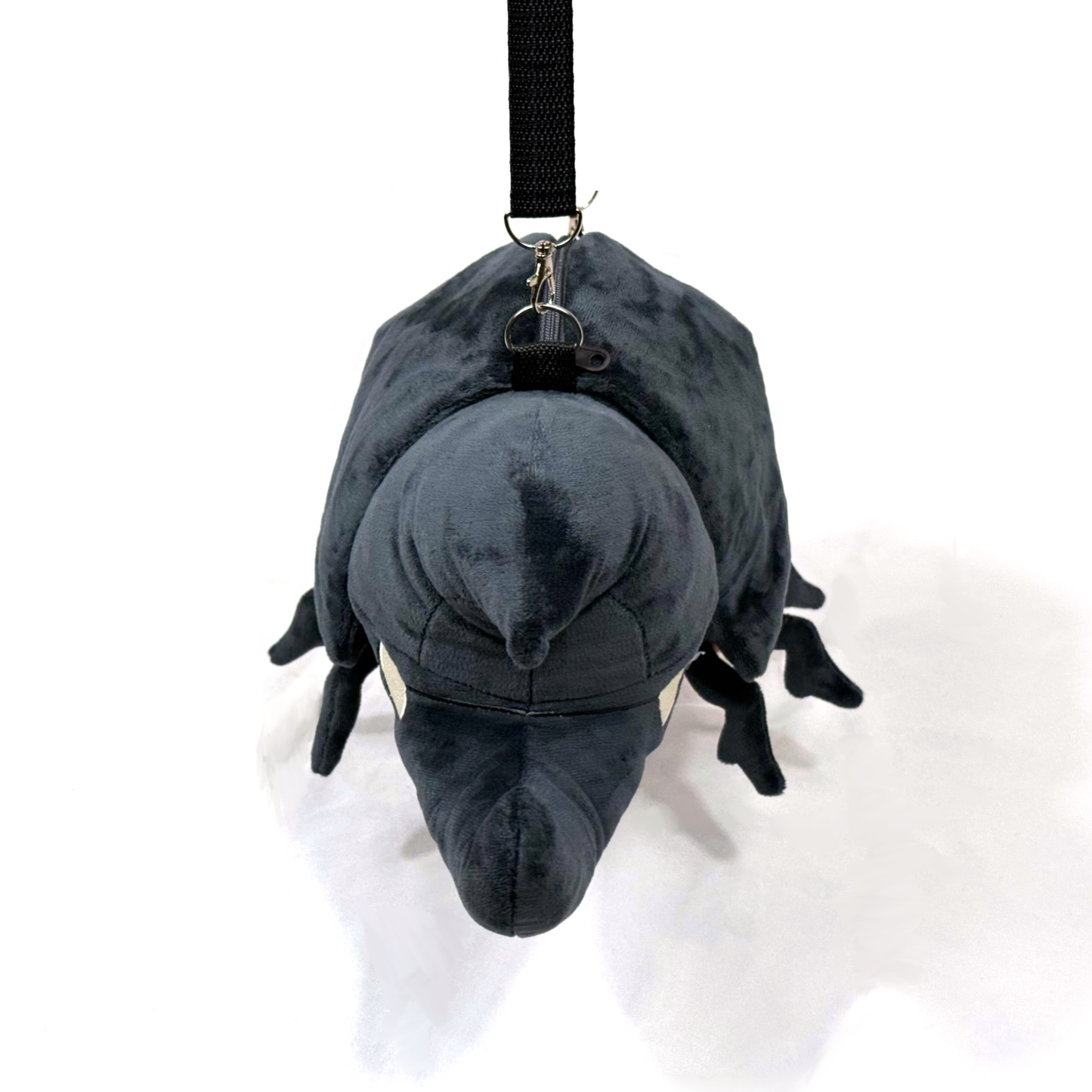 PRE-ORDER Coconut Beetle (ships in September)