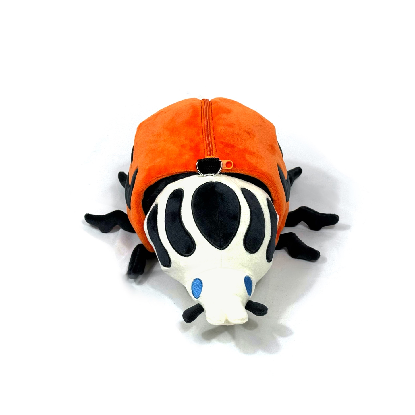 PRE-ORDER Goliath Beetle (ships in September)