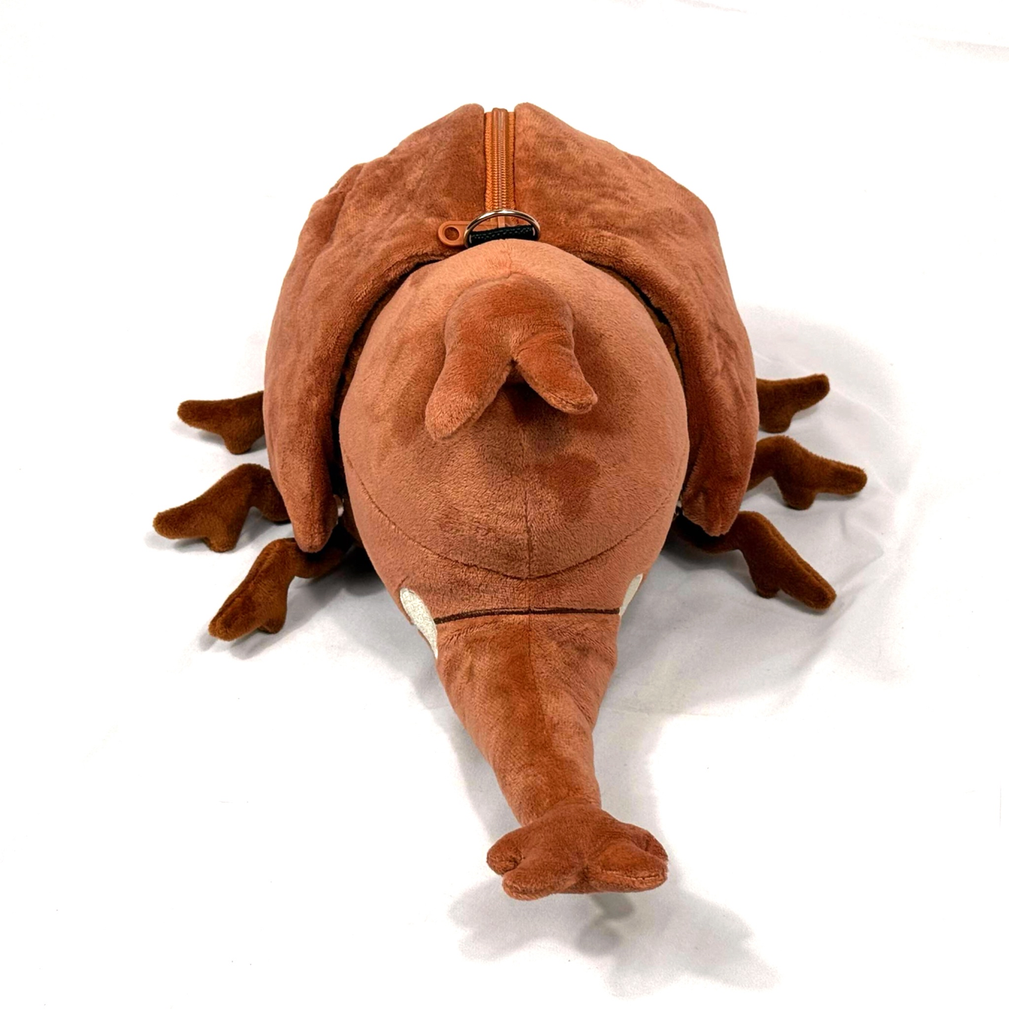 PRE-ORDER Japanese Rhino Beetle (ships in September)
